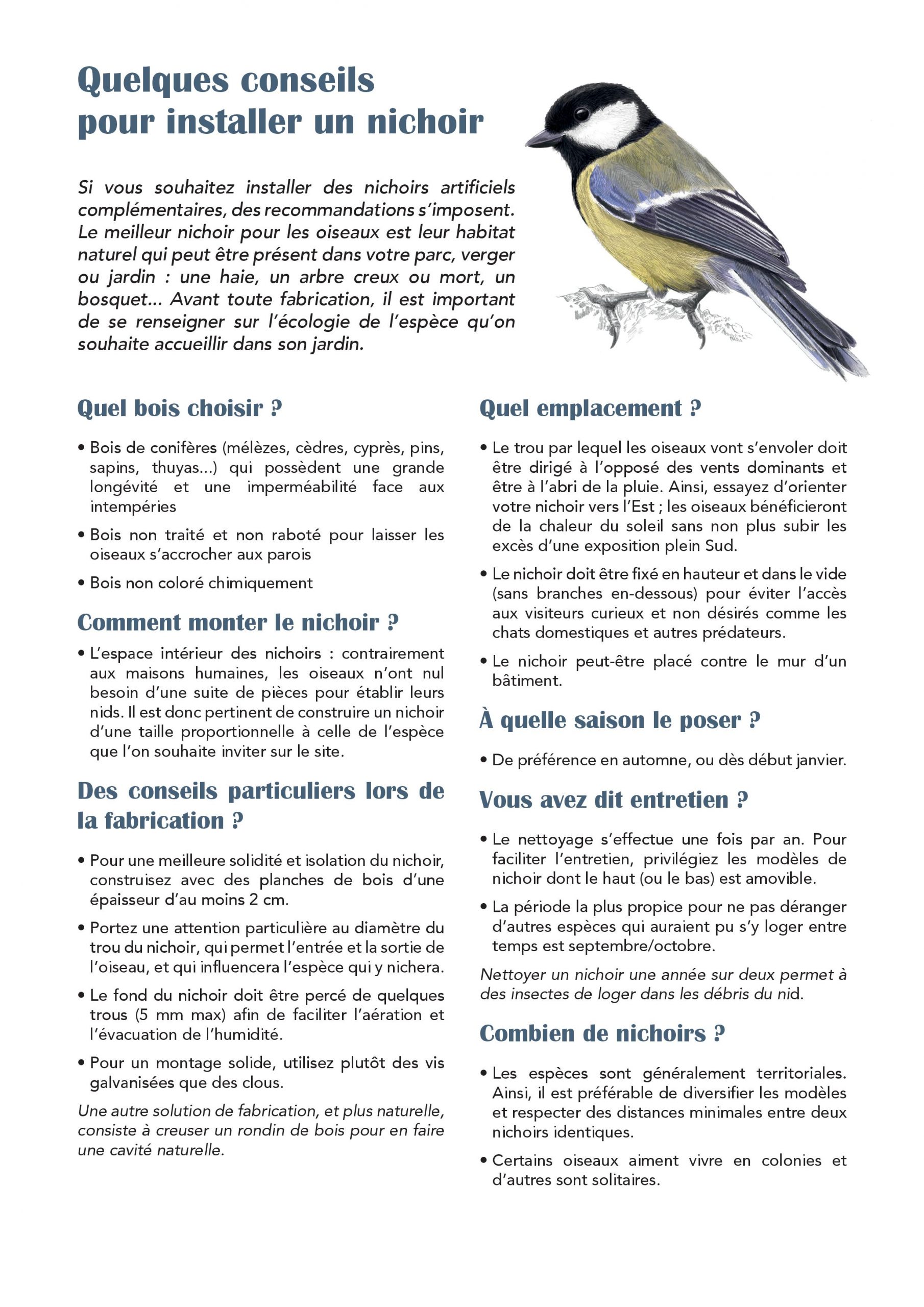Carnet nature : tout savoir sur les plumes des oiseaux 