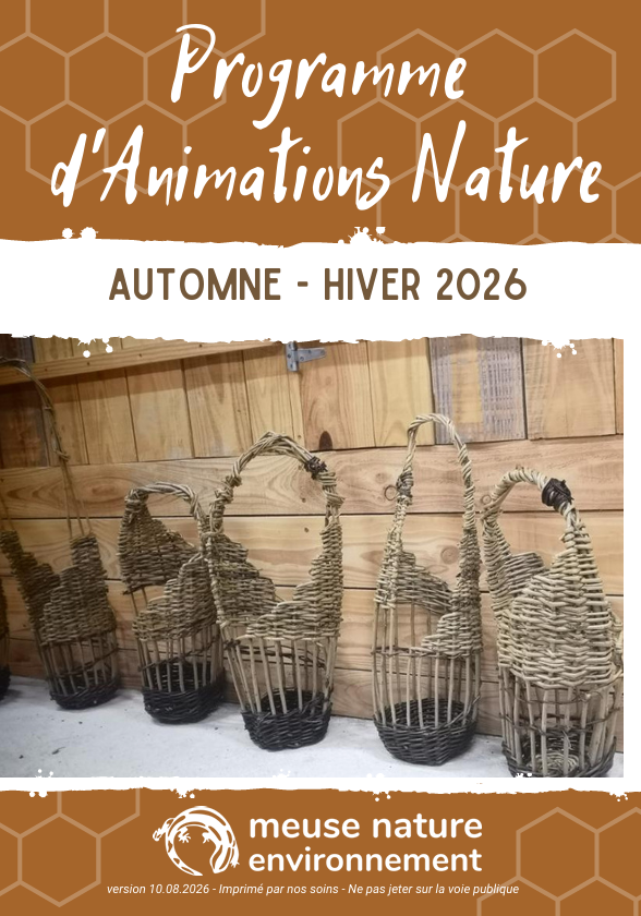 Programme d&rsquo;Animation (D&rsquo;Août à Décembre 2026)